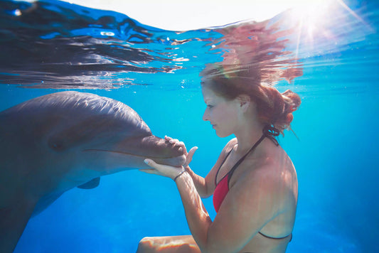 Swim With Dolphins in Cabo - Signature Swim