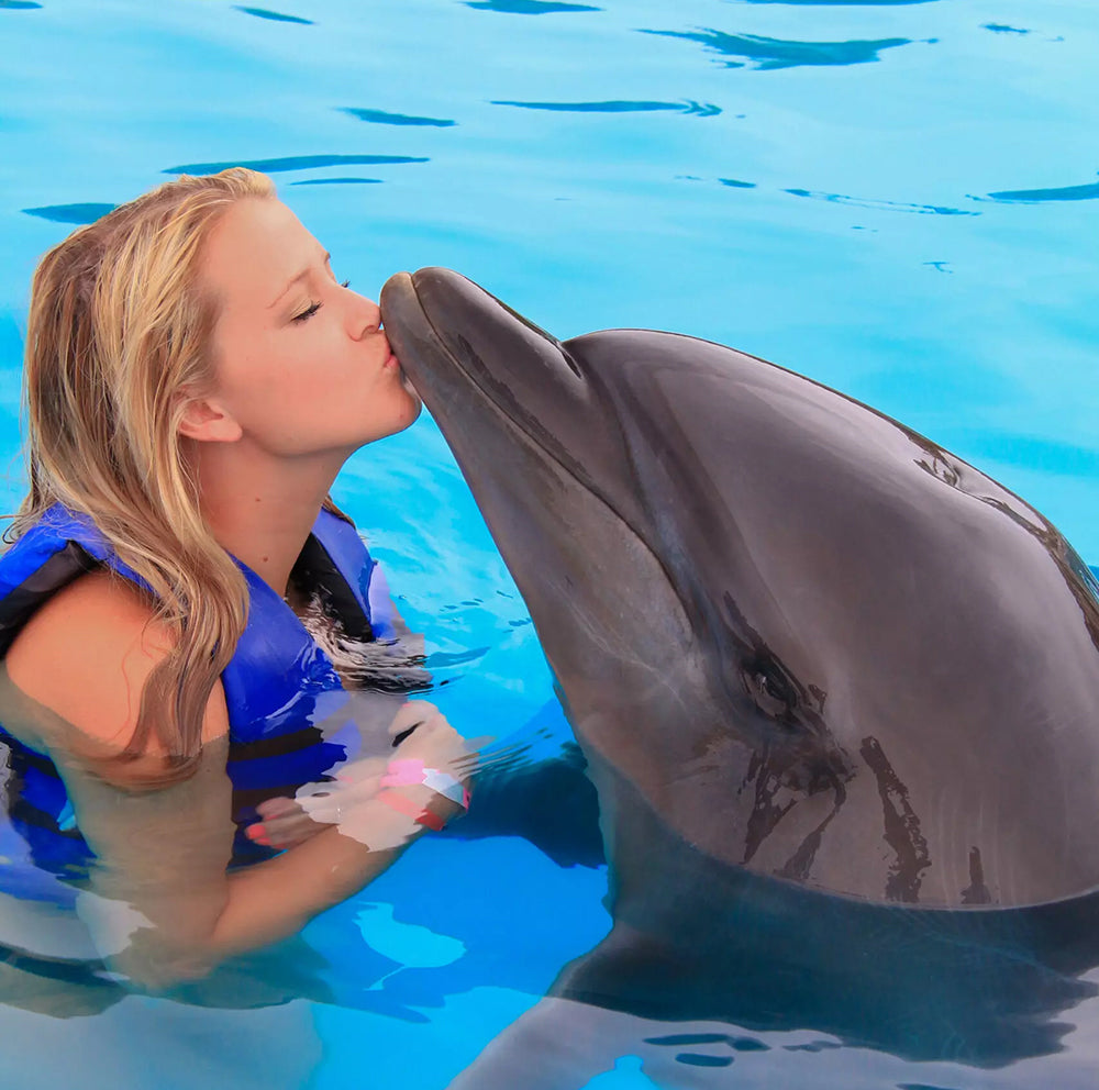 Swim With Dolphins in Cabo - Signature Swim