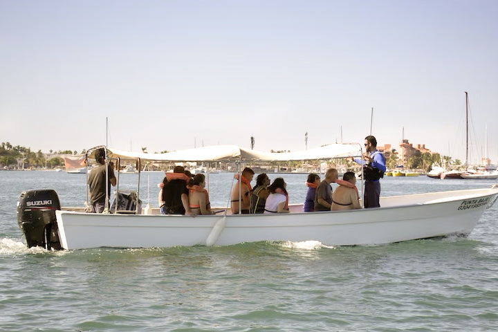 Swim With Whale Sharks in Cabo - La Paz