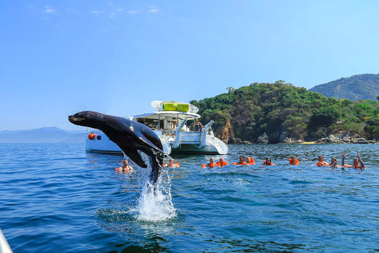 Luxury Boat Trip & Snorkel Tour