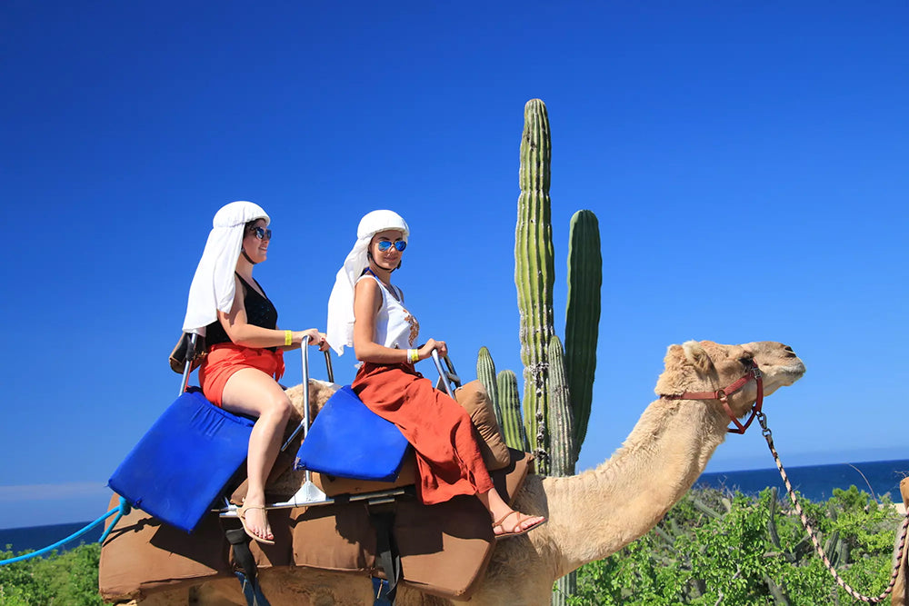 Cabo Outback and Camel Ride Safari