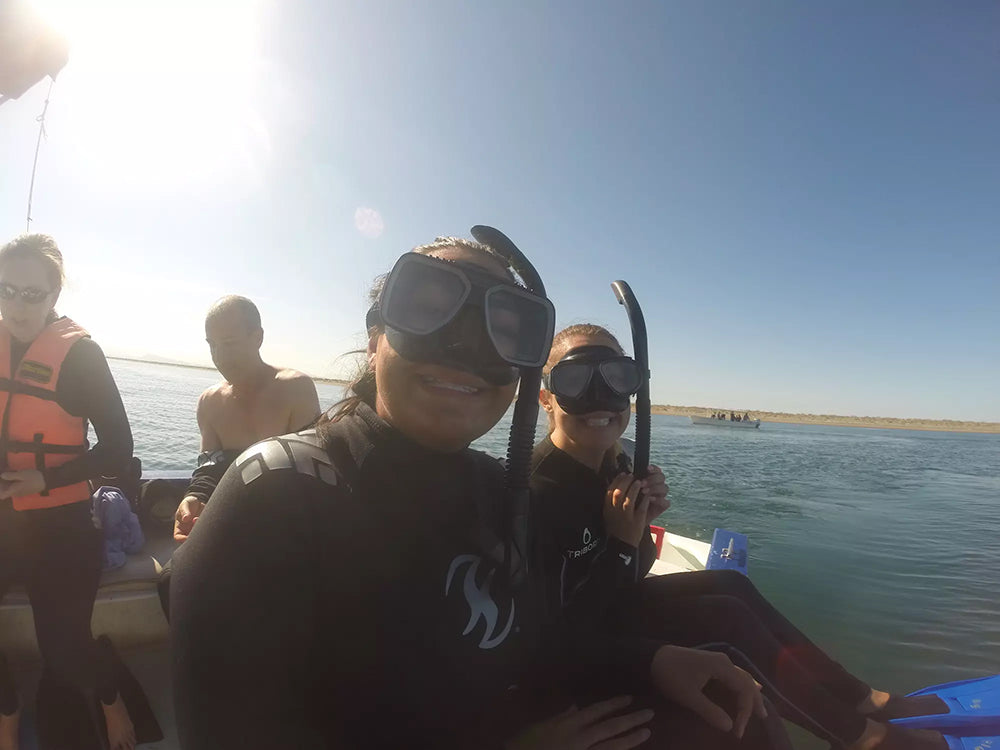 Swim With Whale Sharks in Cabo - La Paz