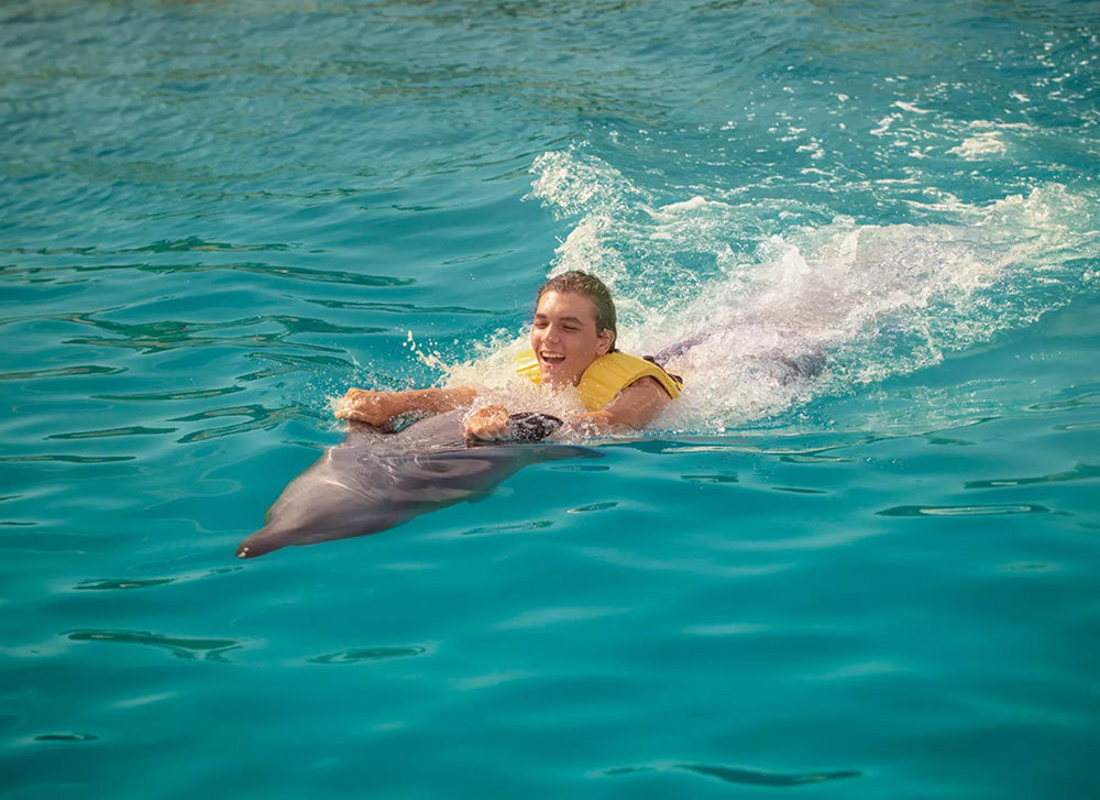 Swim With Dolphins - The Ocean Secret Experience